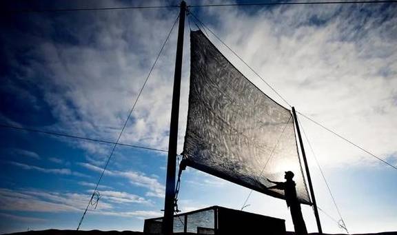 原创 在这个干旱的沙漠里,看千年一遇的花海,人们还用网捕捉大雾8