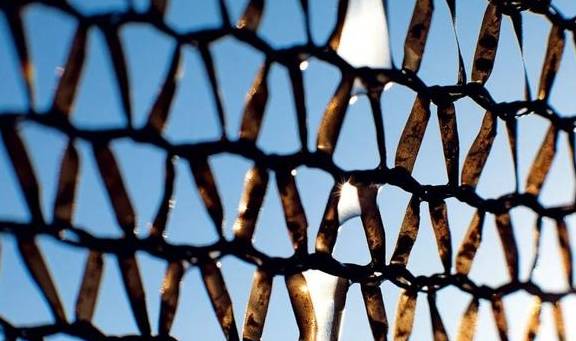 原创 在这个干旱的沙漠里,看千年一遇的花海,人们还用网捕捉大雾9