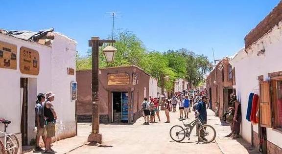 原创 在这个干旱的沙漠里,看千年一遇的花海,人们还用网捕捉大雾12