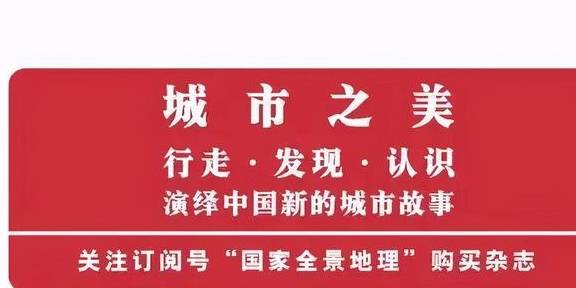 原创 在这个干旱的沙漠里,看千年一遇的花海,人们还用网捕捉大雾14