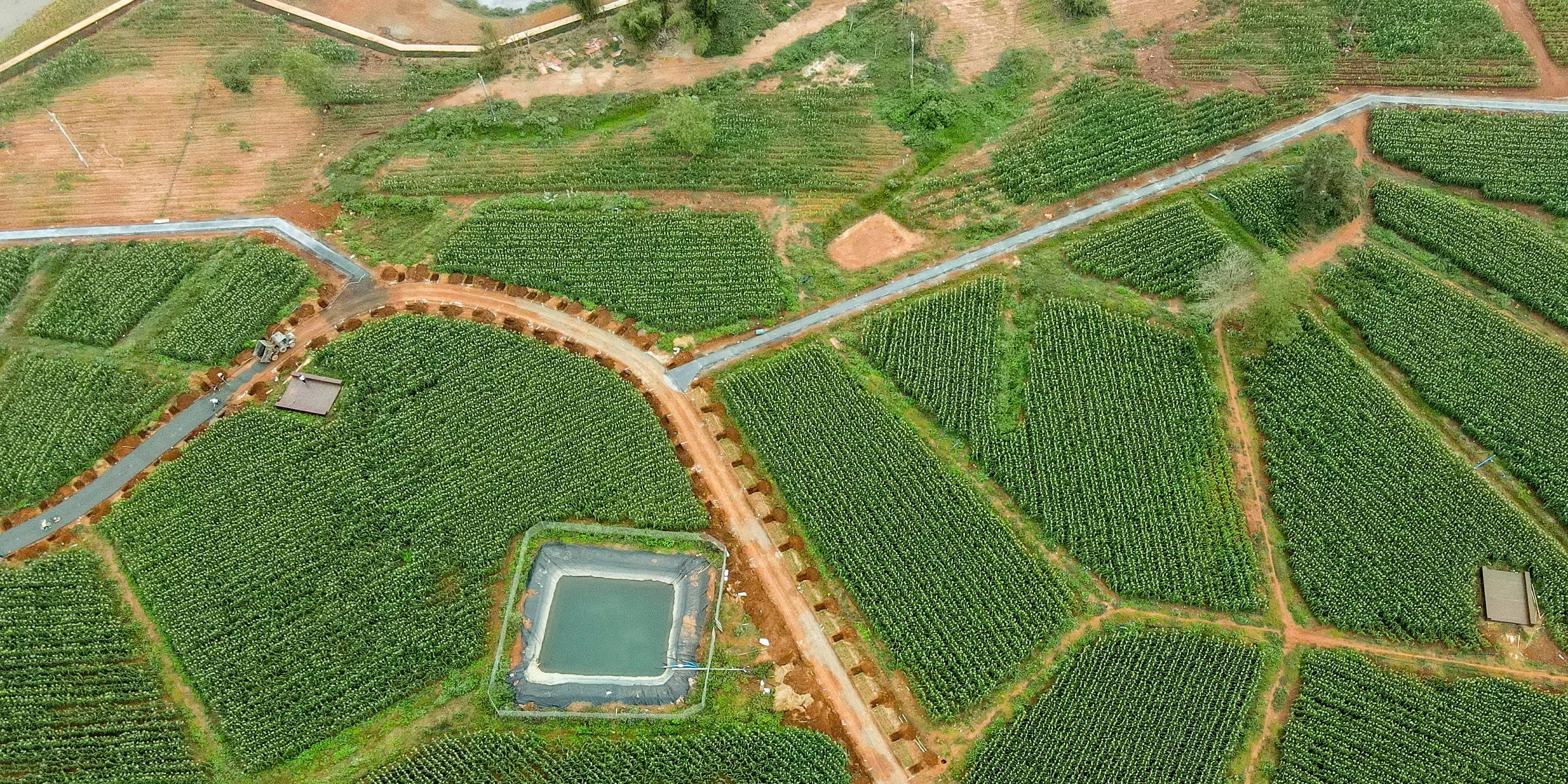 “护理茅”股价年内跌超70%,曾违规买期货大亏,今大股东忙减持1