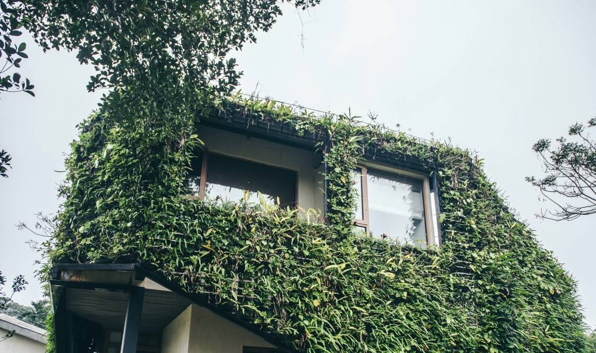 原创 海口周边游推荐丨海控瑶城,古村大变样,自驾好去处10