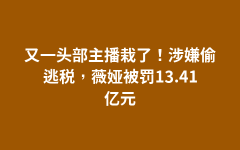 又一头部主播栽了!涉嫌偷逃税,薇娅被罚13.41亿元1