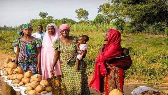 原创 非洲人吃不饱饭也不开荒?当地人:看看菜市场和土地7