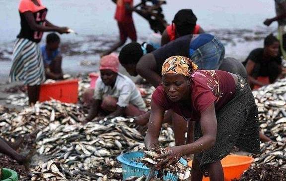 原创 非洲人吃不饱饭也不开荒?当地人:看看菜市场和土地8