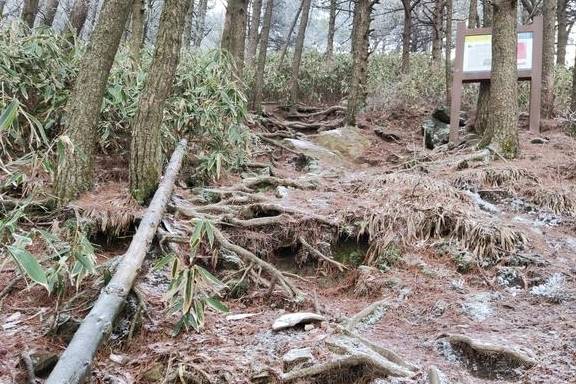 原创 大别山天堂寨的艰辛之旅,山顶发现了雷达部队的住房,不虚此行3