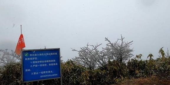 原创 大别山天堂寨的艰辛之旅,山顶发现了雷达部队的住房,不虚此行9