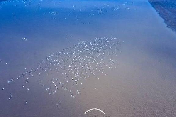 原创 风雨兼程,遇见江西这边风景独好5