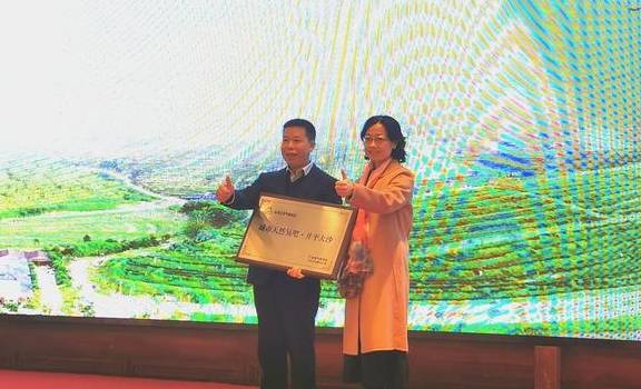 原创 茶香飘飘,粤港澳大湾区内有了“天然氧吧”1