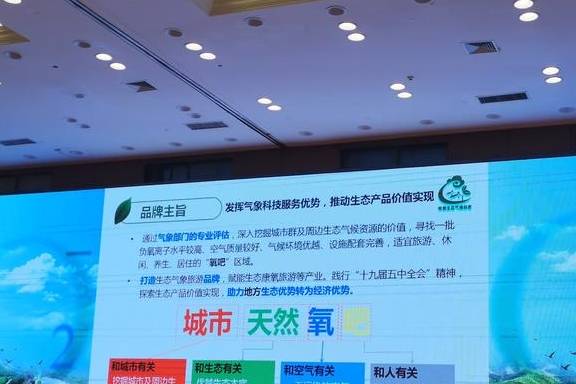 原创 茶香飘飘,粤港澳大湾区内有了“天然氧吧”3