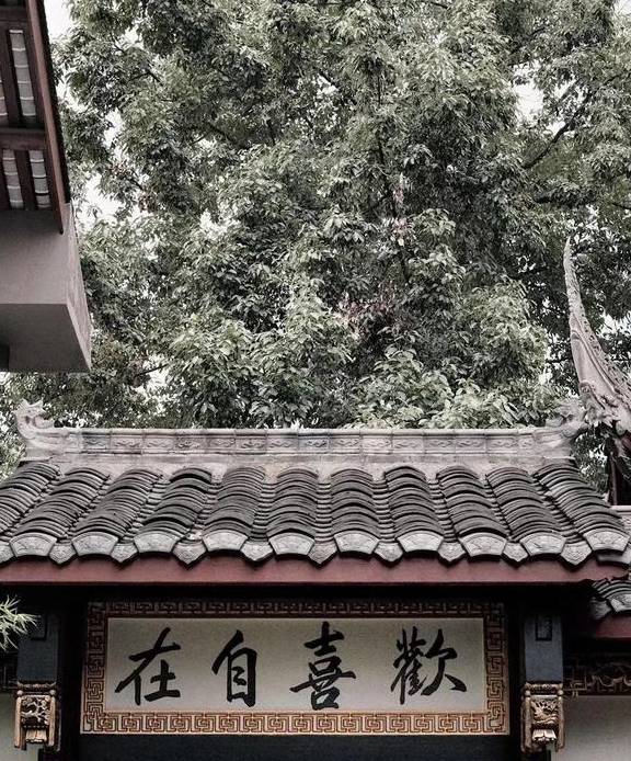 原创 成都｜朝咖晚酒 游弋惬志生活1