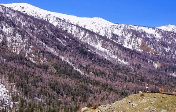 原创 新疆这片冰雪世界,景色美颜可媲美瑞士,冬季最值得去的目的地6