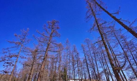 原创 新疆这片冰雪世界,景色美颜可媲美瑞士,冬季最值得去的目的地14