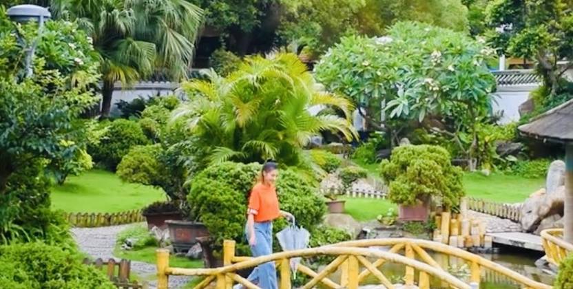 原创 听说厦门本地人不会去鼓浪屿玩?今天答案它来了2