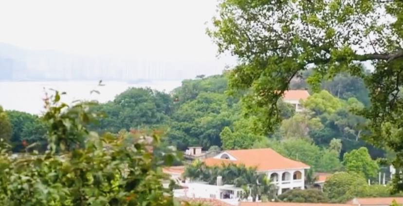 原创 听说厦门本地人不会去鼓浪屿玩?今天答案它来了7