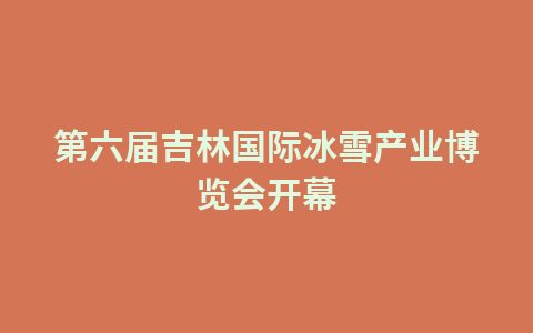 第六届吉林国际冰雪产业博览会开幕1