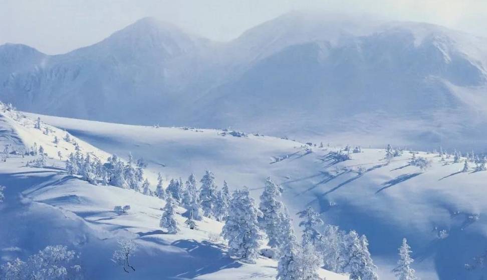 原创 比东北“亚雪”还美的公路，这条小众边境天路，资深驴友都想去！1