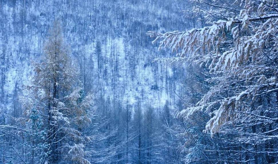 原创 比东北“亚雪”还美的公路，这条小众边境天路，资深驴友都想去！2