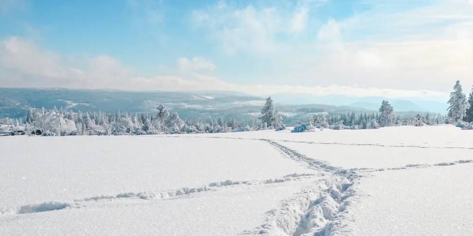 原创 比东北“亚雪”还美的公路，这条小众边境天路，资深驴友都想去！4