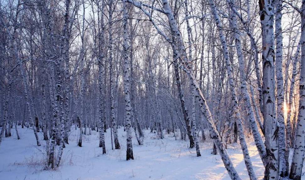 原创 比东北“亚雪”还美的公路，这条小众边境天路，资深驴友都想去！10