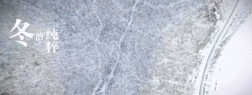 原创 比东北“亚雪”还美的公路，这条小众边境天路，资深驴友都想去！18