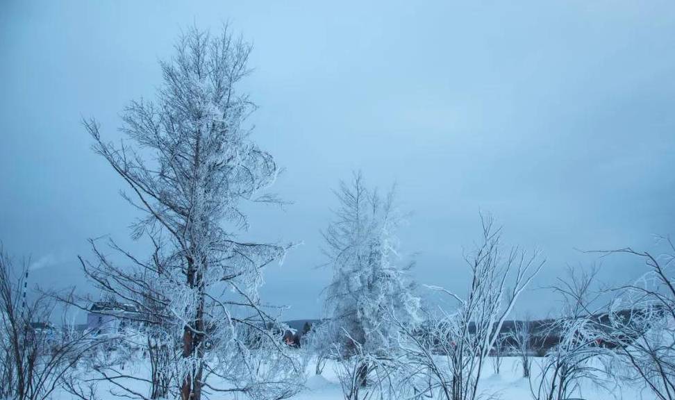 原创 比东北“亚雪”还美的公路，这条小众边境天路，资深驴友都想去！23