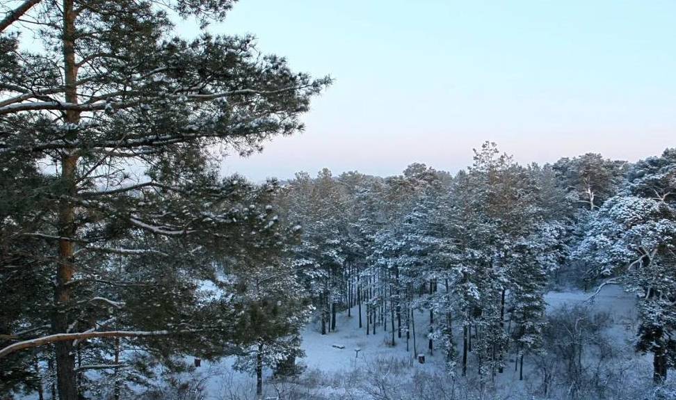 原创 比东北“亚雪”还美的公路，这条小众边境天路，资深驴友都想去！27