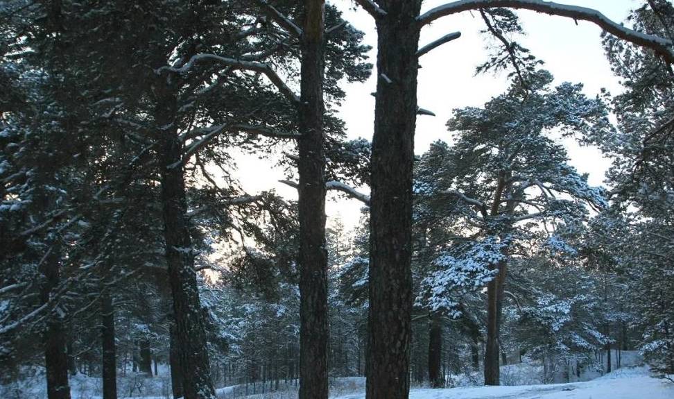 原创 比东北“亚雪”还美的公路，这条小众边境天路，资深驴友都想去！28