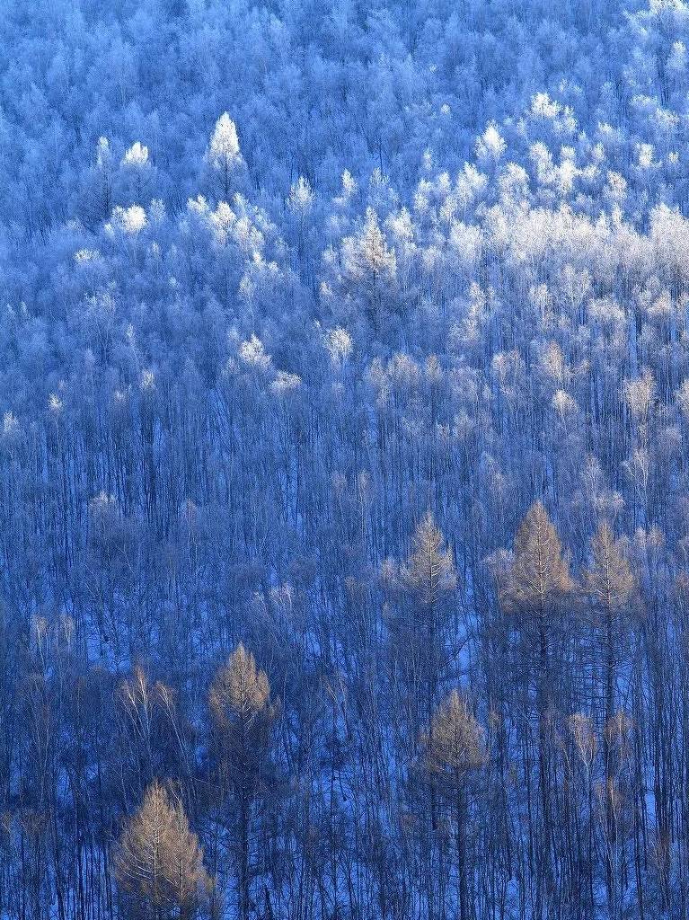 原创 比东北“亚雪”还美的公路，这条小众边境天路，资深驴友都想去！33