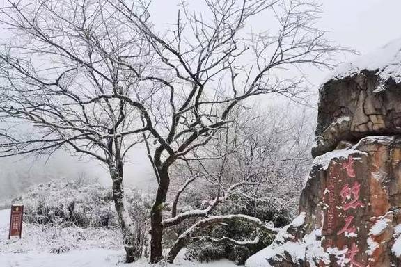 原创 金佛山又下雪了!快跟着粉雪尝鲜官打卡北坡滑雪场!美爆了~12