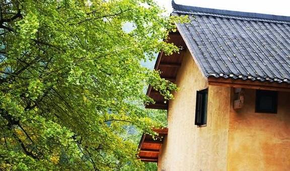 原创 一红一白两匹小马，新疆到福建8000公里的里程，这就是文艺青年的浪漫1