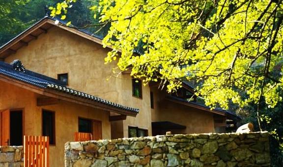 原创 江西这个深谷山村隐藏一片“豪宅”，周围千年银杏树叶落如雨3