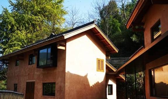 原创 江西这个深谷山村隐藏一片“豪宅”，周围千年银杏树叶落如雨5