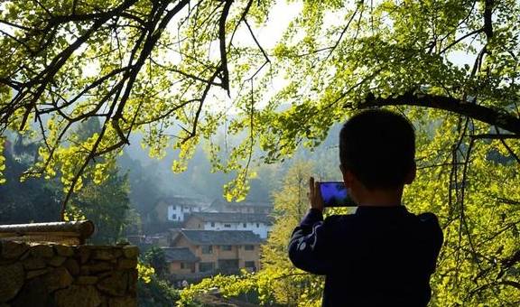 原创 江西这个深谷山村隐藏一片“豪宅”，周围千年银杏树叶落如雨8