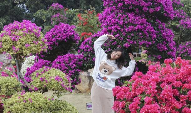 原创 佛山盈香生态园满园宝巾花如梦,心怀春暖春归时1