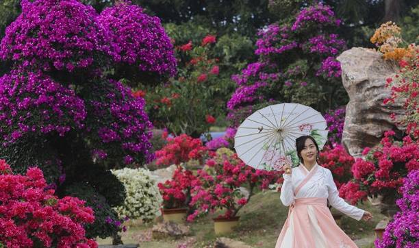 原创 佛山盈香生态园满园宝巾花如梦,心怀春暖春归时2