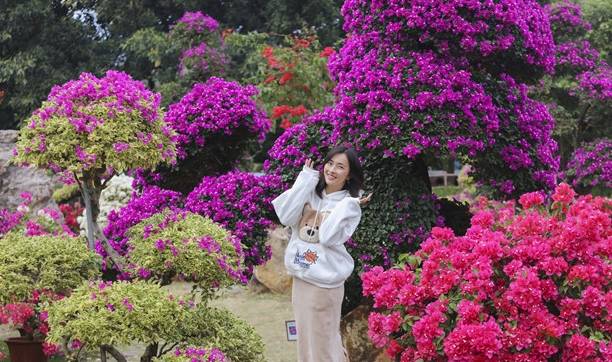 原创 佛山盈香生态园满园宝巾花如梦,心怀春暖春归时4