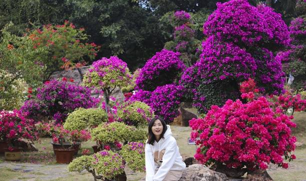 原创 佛山盈香生态园满园宝巾花如梦,心怀春暖春归时6