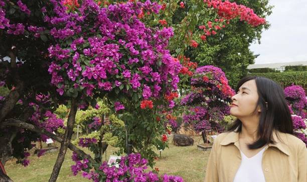 原创 佛山盈香生态园满园宝巾花如梦,心怀春暖春归时7