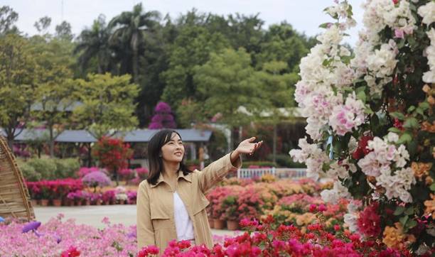 原创 佛山盈香生态园满园宝巾花如梦,心怀春暖春归时8