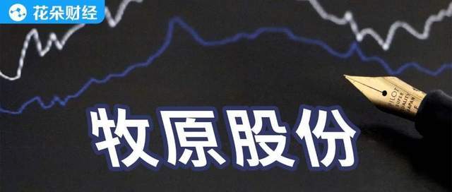 原创 资金缺口从46亿飙升至超百亿,牧原股份评级惨遭被调整为负面2