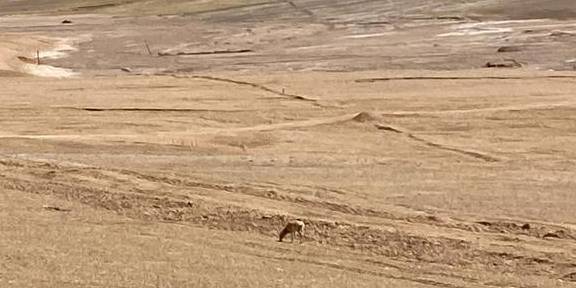 原创 单车独闯新藏线D8，出新入藏，甜水海老兵站到死人沟42