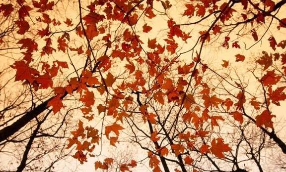 原创 世上最美的色彩,在这里7