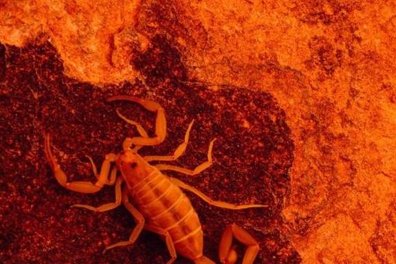 原创 世上最美的色彩,在这里12