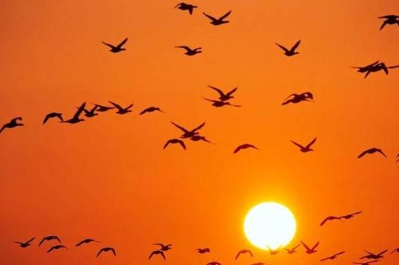 原创 世上最美的色彩,在这里13