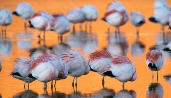 原创 世上最美的色彩,在这里8