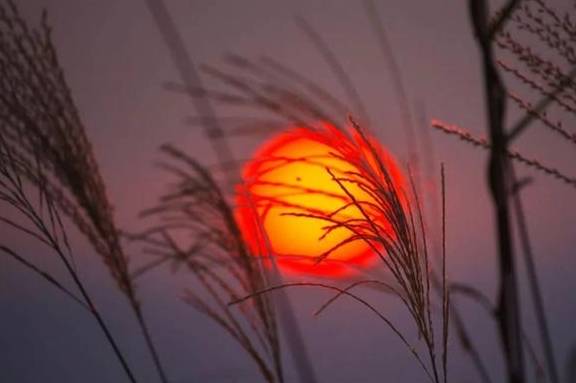 原创 世上最美的色彩,在这里9