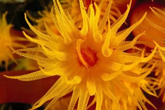 原创 世上最美的色彩,在这里10