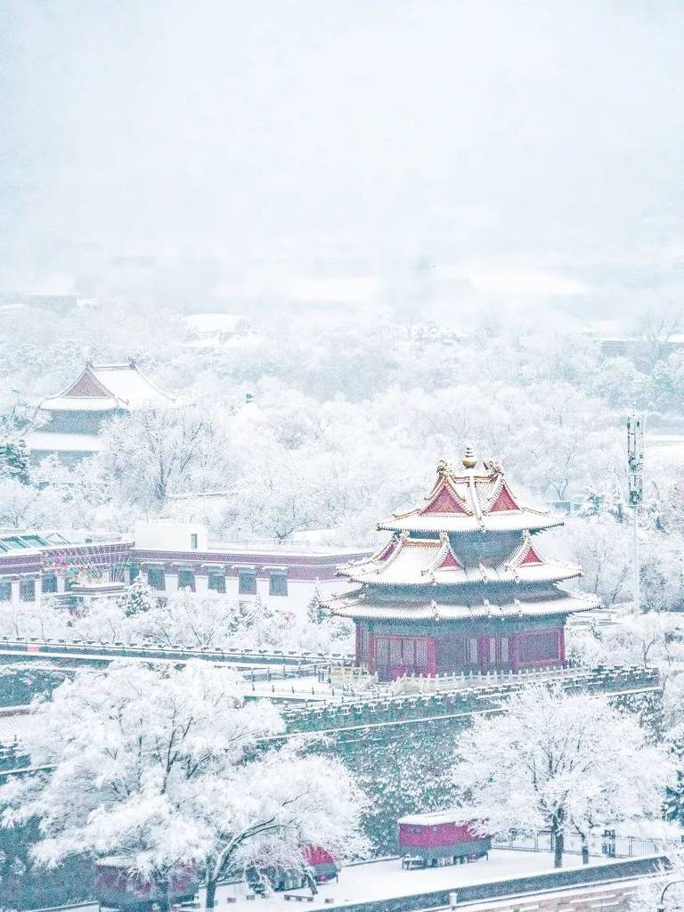 原创 大雪过后,我建议你一定去北京看看1