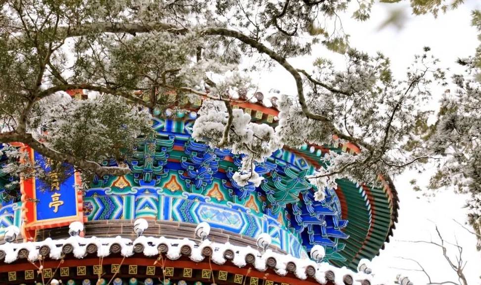 原创 大雪过后,我建议你一定去北京看看5